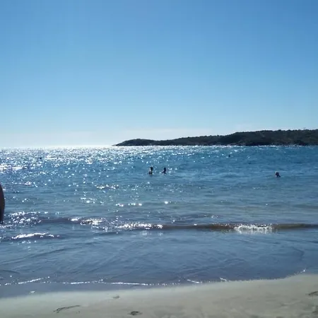 Sunny Near The Beach